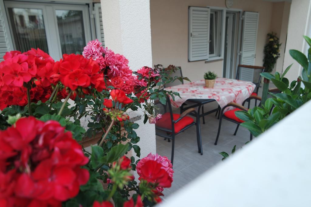 Apartments Jadranka Novalja Zewnętrze zdjęcie